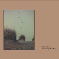 Orsi Fabio - Waltzing The Dune in the group CD / Pop-Rock at Bengans Skivbutik AB (4029834)