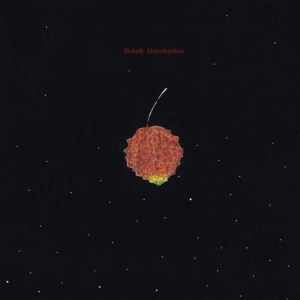 Malady - Ainavihantaa (Red) in the group VINYL / Pop-Rock at Bengans Skivbutik AB (4030255)