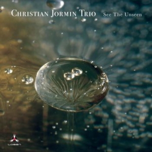 Christian Jormin Trio - See The Unseen in the group CD / Upcoming releases / Jazz/Blues at Bengans Skivbutik AB (4030275)