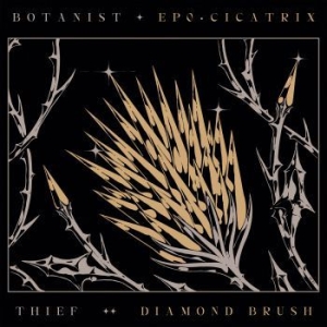 Botanist / Thief - Cicatrix / Diamond Brush in the group CD / Hårdrock at Bengans Skivbutik AB (4031985)