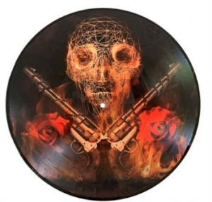 Guns N' Roses - Live In New York 1988 (Picture Disc in the group VINYL / Hårdrock at Bengans Skivbutik AB (4033568)