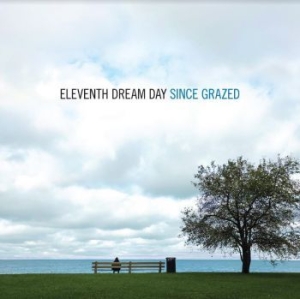 Eleventh Dream Day - Since Grazed in the group VINYL / Hårdrock,Pop-Rock at Bengans Skivbutik AB (4034192)
