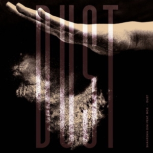 Dini Shahrokh Feat Mox - Dust in the group VINYL / Dance-Techno at Bengans Skivbutik AB (4035358)