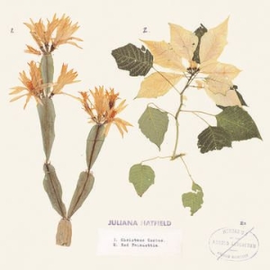 Hatfield Juliana - Christmas Cactus / Red Poinsettia (Color Vinyl/Dl Card) (Rsd) in the group OUR PICKS / Record Store Day / RSD2013-2020 at Bengans Skivbutik AB (4038299)