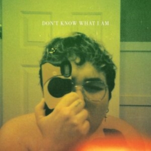 Alien Boy - Don't Know What I Am in the group CD / Pop-Rock at Bengans Skivbutik AB (4039885)