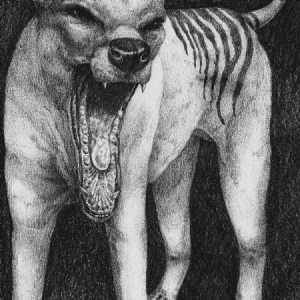 Orochen - Thylacine in the group Labels / Bengans Distribution at Bengans Skivbutik AB (4041960)