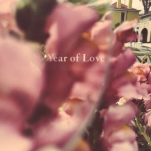 Beta Radio - Year Of Love in the group VINYL / Pop at Bengans Skivbutik AB (4044629)