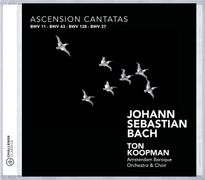 Amsterdam Baroque Orchestra & Ton Koopman - Bach: Ascension Cantatas in the group CD / Klassiskt,Övrigt at Bengans Skivbutik AB (4045613)