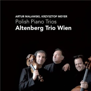 Altenberg Trio Wien - Polish Piano Trios in the group CD / Klassiskt,Övrigt at Bengans Skivbutik AB (4045681)