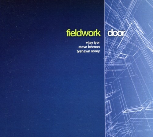 Fieldwork - Door in the group CD / Klassiskt at Bengans Skivbutik AB (4045870)