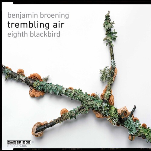 Trembling Air - Eighth Blackbird in the group CD / Klassiskt at Bengans Skivbutik AB (4046314)