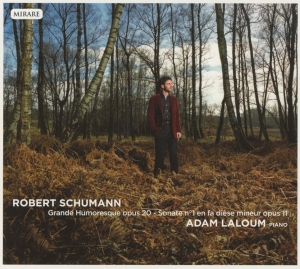 Schumann Robert - Grande Humoresque in the group CD / Klassiskt,Övrigt at Bengans Skivbutik AB (4046361)
