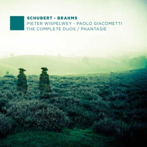 Schubert/Brahms - Complete Duos in the group CD / Klassiskt,Övrigt at Bengans Skivbutik AB (4047189)