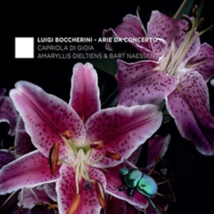 Carmina Quartet & Rolf Lisleva - Arie Da Concerto in the group CD / Klassiskt,Övrigt at Bengans Skivbutik AB (4048090)