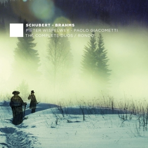 Schubert/Brahms - Complete Duos/Rondo in the group CD / Klassiskt,Övrigt at Bengans Skivbutik AB (4048220)