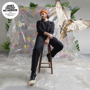 McMorrow James Vincent - Grapefruit Season in the group OTHER / Övrigt /  at Bengans Skivbutik AB (4049711)
