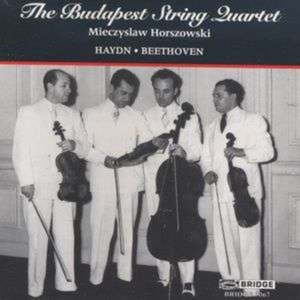 Haydn/Beethoven - Quartets in the group CD / Övrigt at Bengans Skivbutik AB (4049766)