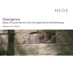 Platform K Plus K Vienna - Divergence in the group CD / Klassiskt,Övrigt at Bengans Skivbutik AB (4050119)