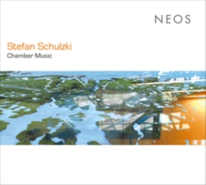 S. Schulzki - Chamber Music in the group CD / Klassiskt,Övrigt at Bengans Skivbutik AB (4050497)