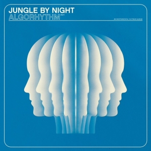 Jungle By Night - Algorhythm in the group CD / Jazz at Bengans Skivbutik AB (4052749)