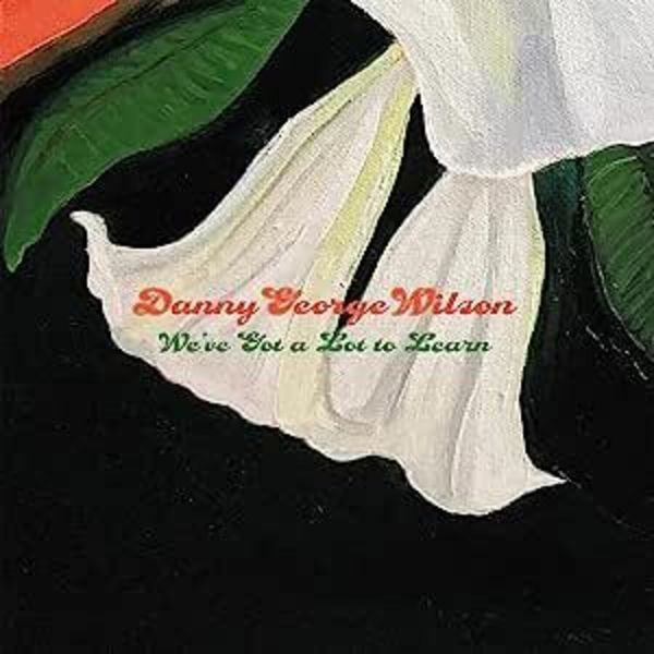Danny George Wilson - We've Got A Lot To Learn in the group VINYL / Country at Bengans Skivbutik AB (4053885)