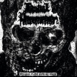 Bestial Putrefaction - Eternal Flesh Ripping Chaos in the group OTHER / Övrigt /  at Bengans Skivbutik AB (4054114)
