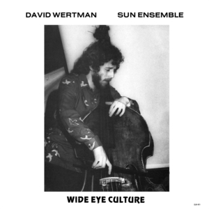 Wertman David And Sun Ensemble - Wide Eye Culture - Deluxe Version in the group VINYL / Jazz at Bengans Skivbutik AB (4054126)