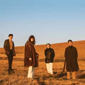 Fur - When You Walk Away in the group OTHER / Övrigt /  at Bengans Skivbutik AB (4054181)