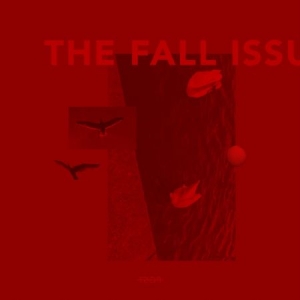 Post Pines - The Fall Issue in the group Pop at Bengans Skivbutik AB (4055381)