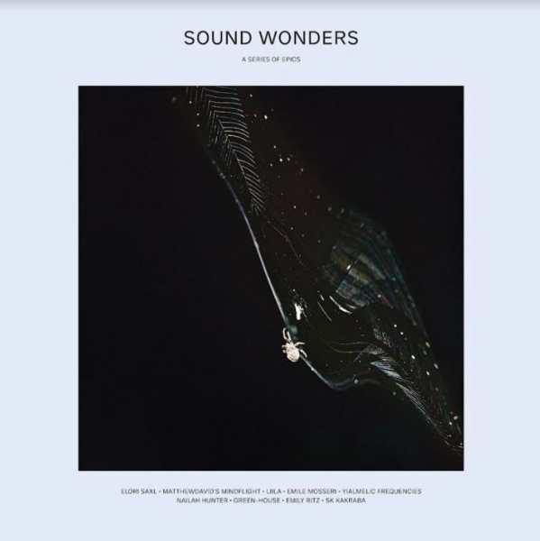 Various Artists - Sound Wonders in the group VINYL / Bestsellers at Bengans Skivbutik AB (4056791)