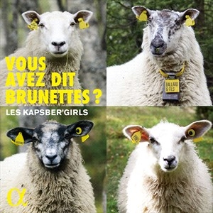 Various - Vous Avez Dit Brunettes? in the group CD / Upcoming releases / Classical at Bengans Skivbutik AB (4058503)