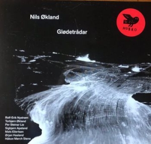 Ökland Nils - Glödetrådar in the group VINYL / Elektroniskt,World Music at Bengans Skivbutik AB (4060426)