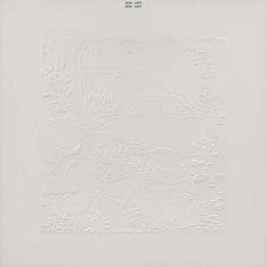 Bon Iver - Bon Iver 10Th Anniversary Edition ( in the group OTHER / MK Test 4 at Bengans Skivbutik AB (4060945)