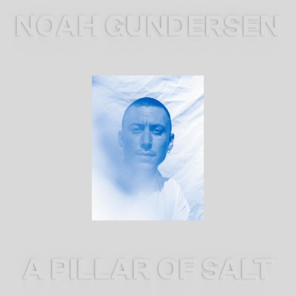 Gundersen Noah - A Pillar Of Salt (Clear Vinyl) in the group VINYL / Bestsellers at Bengans Skivbutik AB (4060947)