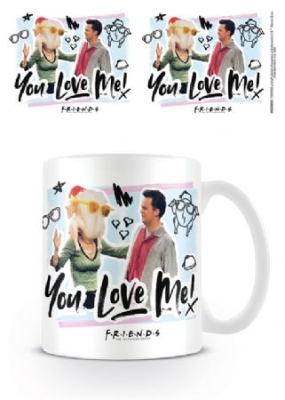 Friends - Friends (You Love Me) in the group OTHER / Merch Mugs at Bengans Skivbutik AB (4063709)