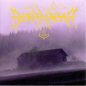 Borknagar - Borknagar (25Th Anniversary Re-Issue 2021) in the group CD / Hårdrock at Bengans Skivbutik AB (4064250)