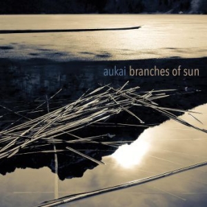 Aukai - Branches Of Sun in the group VINYL / Elektroniskt,World Music at Bengans Skivbutik AB (4065145)