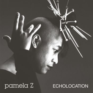 Pamela Z - Echolocation (Natural White Vinyl) in the group VINYL / Upcoming releases / Soundtrack/Musical at Bengans Skivbutik AB (4066844)