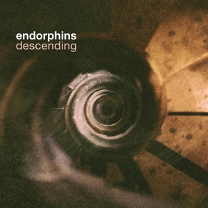 Endorphins - Descending in the group CD / Pop-Rock at Bengans Skivbutik AB (4067340)