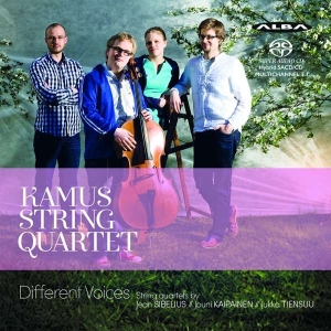 Various - Different Voices in the group MUSIK / SACD / Klassiskt at Bengans Skivbutik AB (4067529)