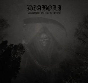 Diaboli - Awakening Of Nordic Storm (Vinyl Lp in the group VINYL / Hårdrock/ Heavy metal at Bengans Skivbutik AB (4068456)