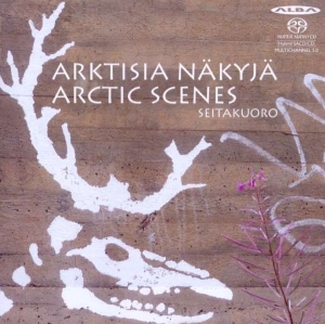 Various - Arctic Scenes in the group Externt_Lager /  at Bengans Skivbutik AB (4069101)