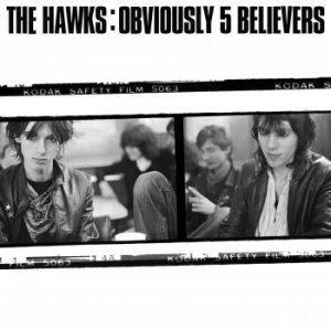 Hawks - Obviously 5 Believers in the group VINYL / Rock at Bengans Skivbutik AB (4069274)