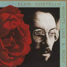 Costello Elvis - Mighty Like A Rose in the group CD / Pop-Rock,Övrigt at Bengans Skivbutik AB (4070963)