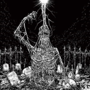 Infesticide / In Obscurity Revealed - Split in the group OTHER / Övrigt /  at Bengans Skivbutik AB (4071281)