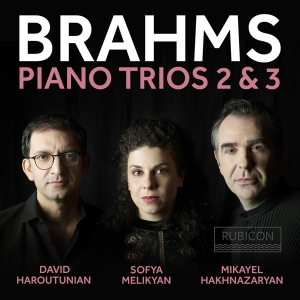 Hakhnazaryan - Brahms Piano Trios 2 & 3 in the group CD / Övrigt at Bengans Skivbutik AB (4073057)