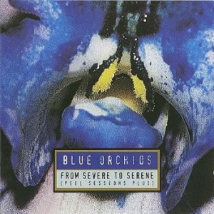 Blue Orchids - From To Severe To Serene in the group CD / Pop at Bengans Skivbutik AB (4073182)