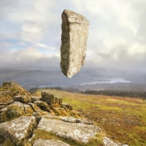 Fraxinus - Position - Displacement in the group VINYL / Dance-Techno at Bengans Skivbutik AB (4073537)