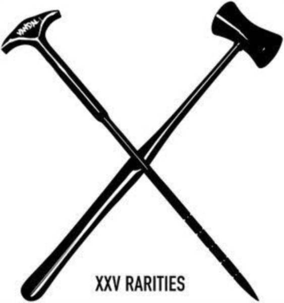Vandal X - XXV Rarities in the group CD / Pop at Bengans Skivbutik AB (4075038)