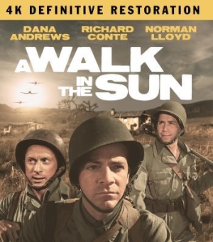 A Walk In The Sun: The Definitive R - Film (2Br) in the group MUSIK / Musik Blu-Ray / Film/Musikal at Bengans Skivbutik AB (4077109)